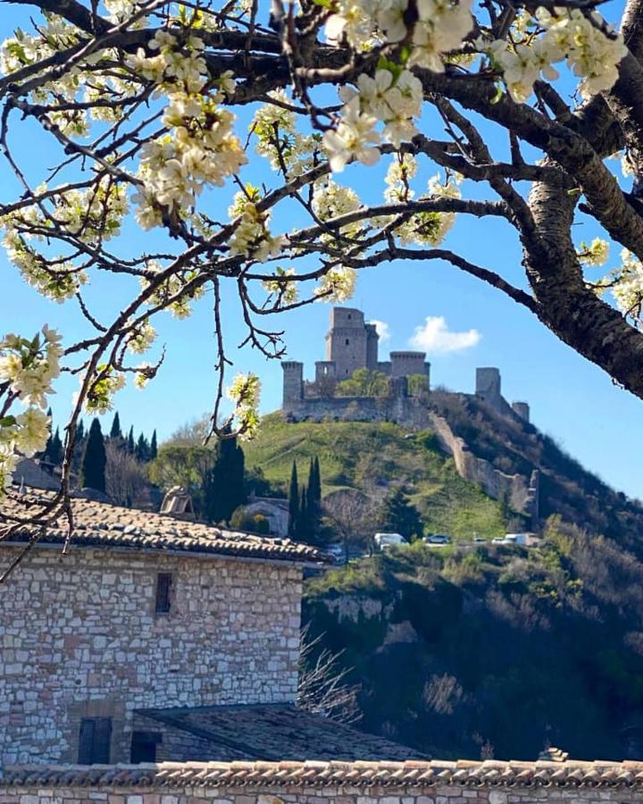 Da Marzietta Villa Assisi Exterior photo