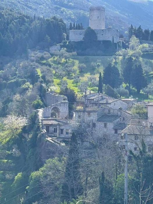 Da Marzietta Villa Assisi Exterior photo