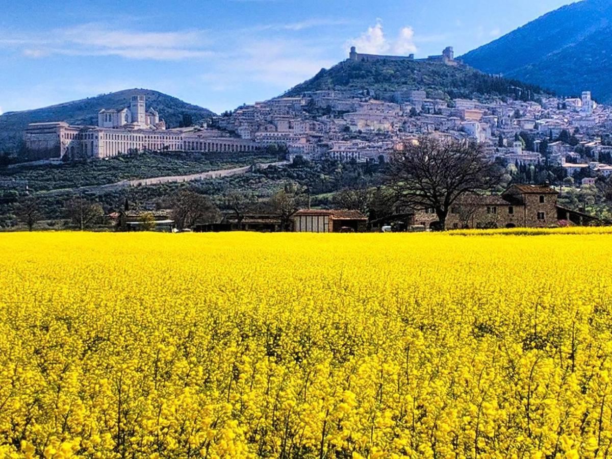 Da Marzietta Villa Assisi Exterior photo