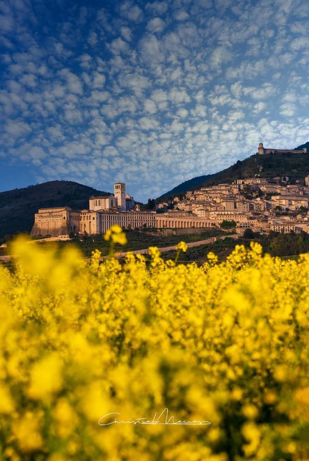 Da Marzietta Villa Assisi Exterior photo